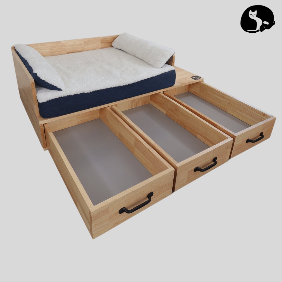 THE ZEUS BED — COMFORT MEETS DESIGN