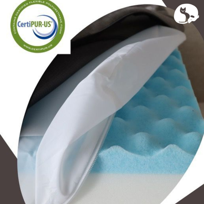 THE ZEUS BED — COMFORT MEETS DESIGN