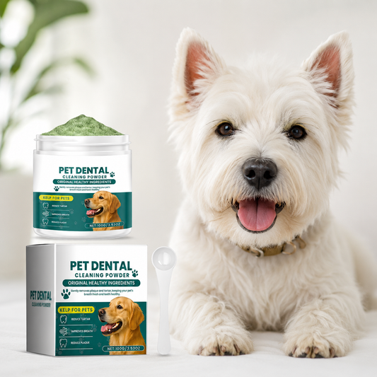 DailySmile™-  Dental Powder