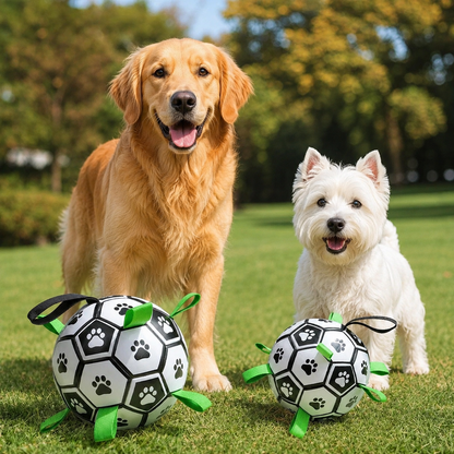 PlayPaw™